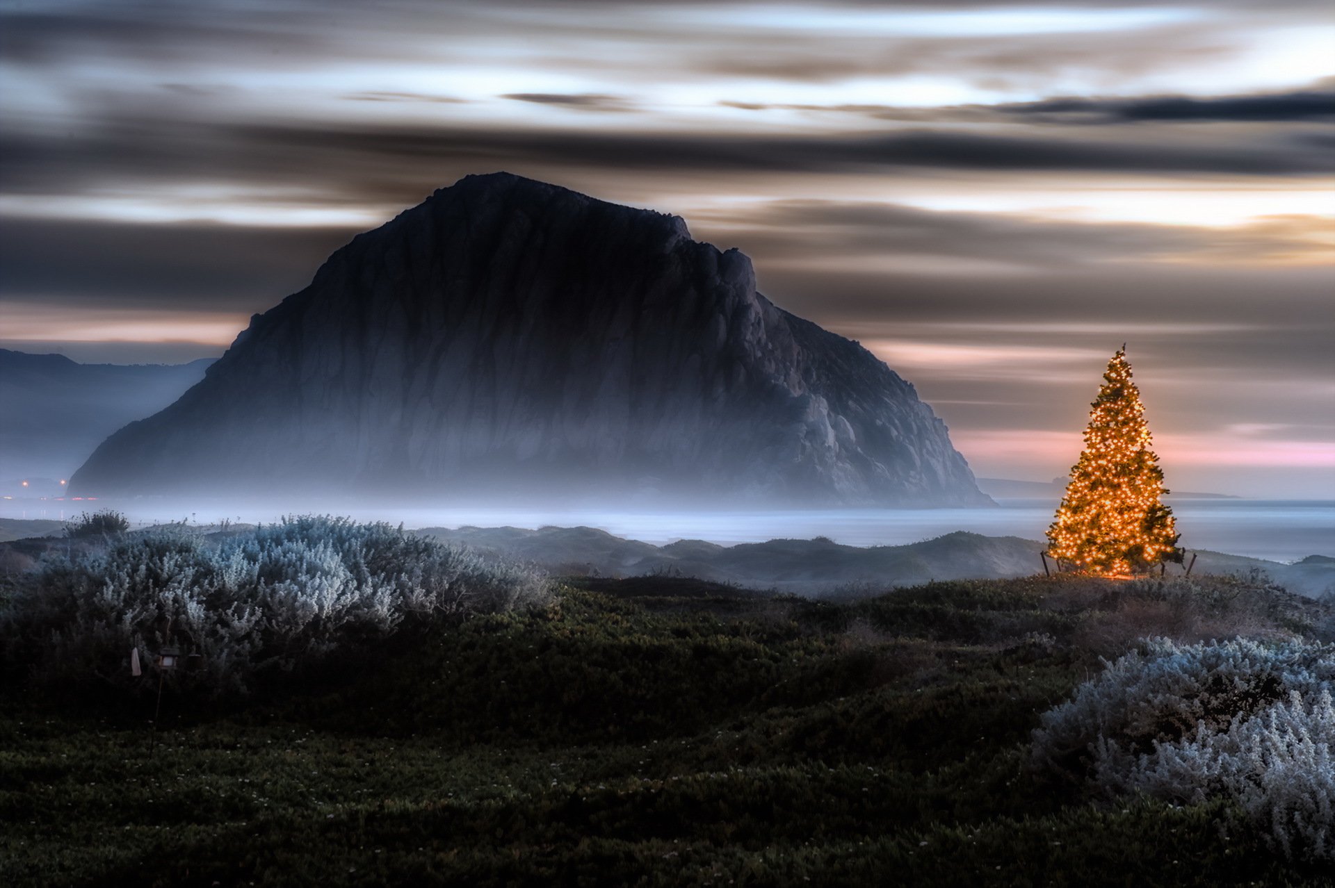holiday landscape