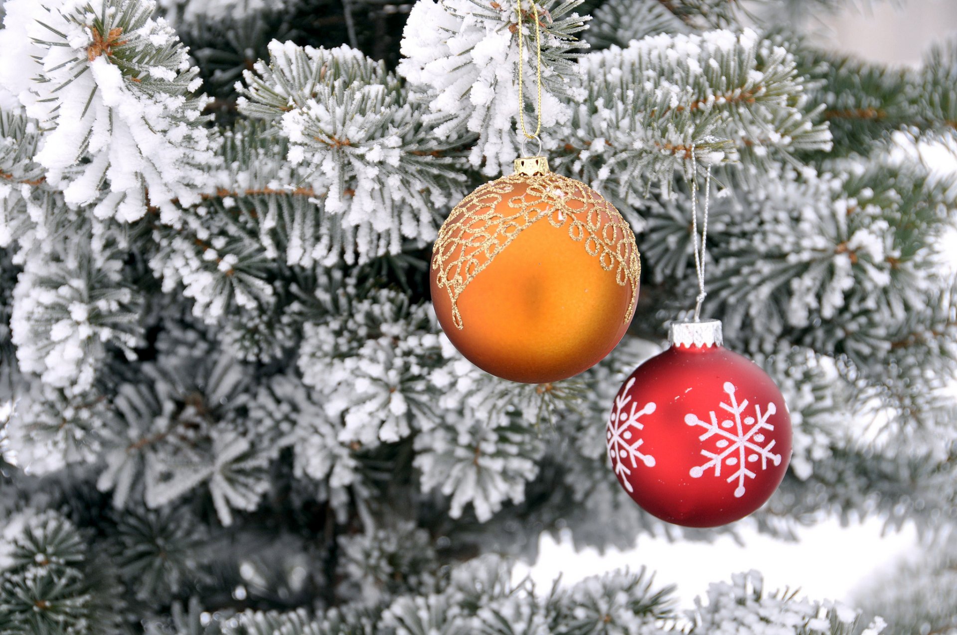 weihnachtsbaum schnee kugel dekoration neujahr weihnachten