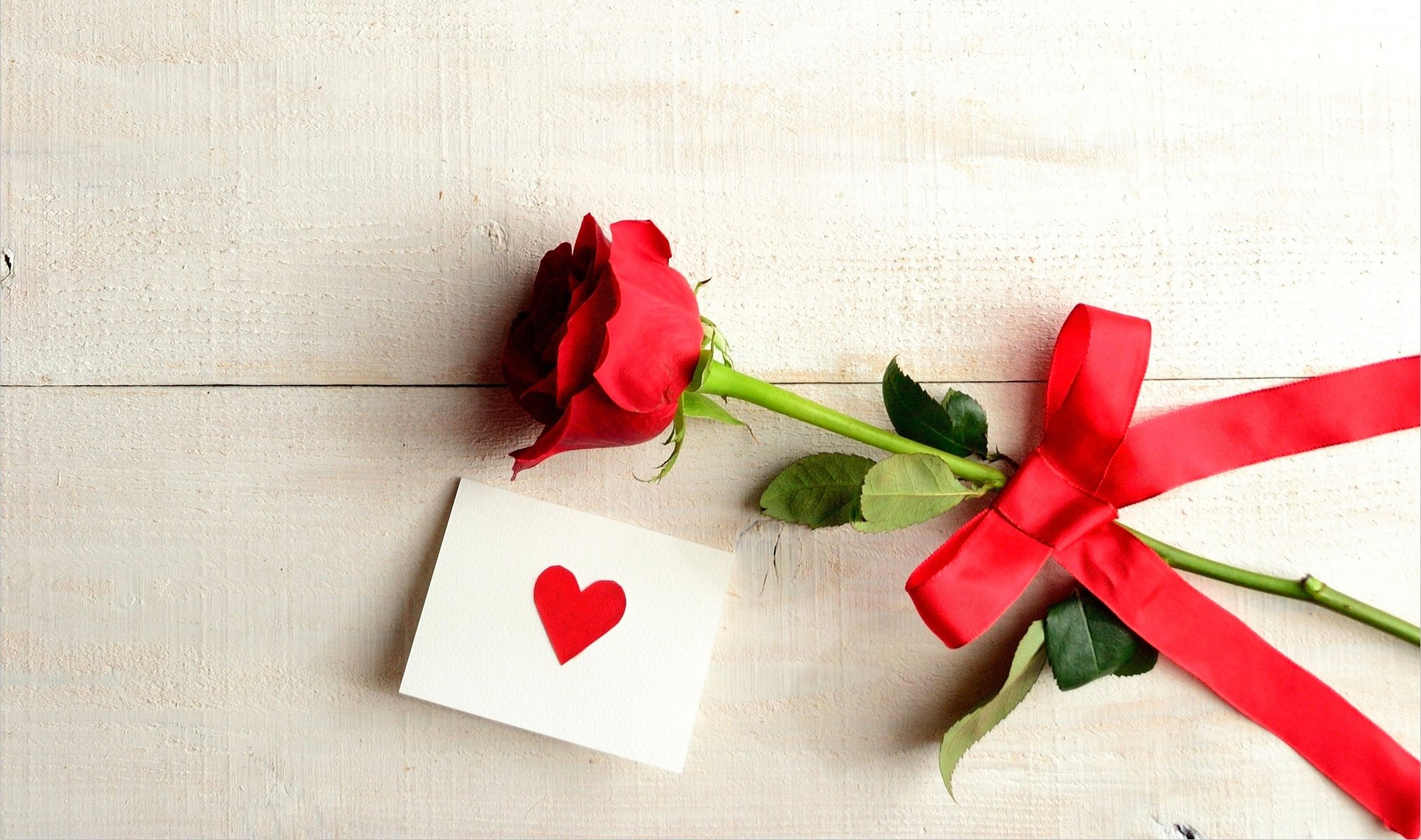 liebe ruhe ich liebe dich blume stieg herz urlaub rose