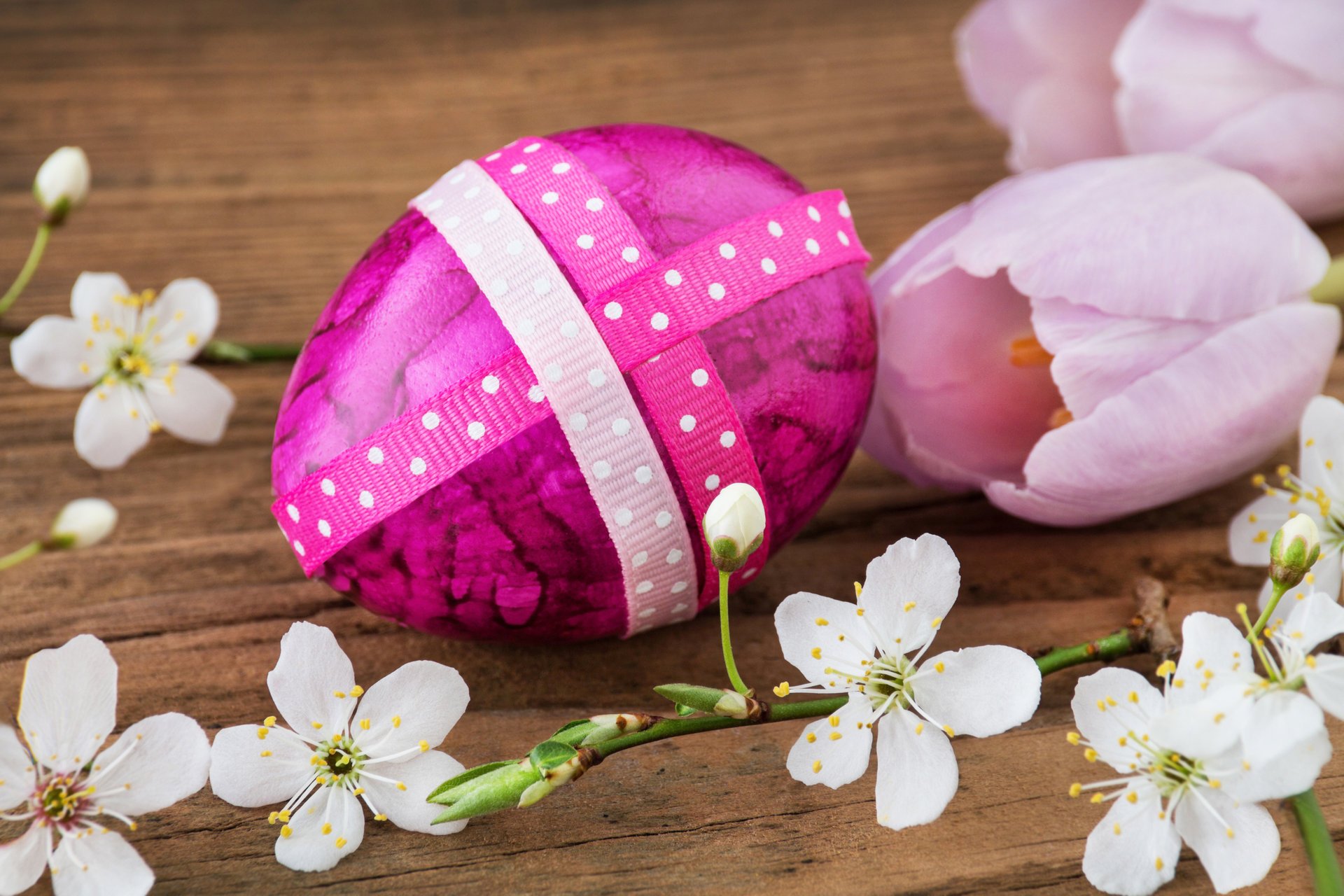 pasqua uova uova di pasqua pasqua