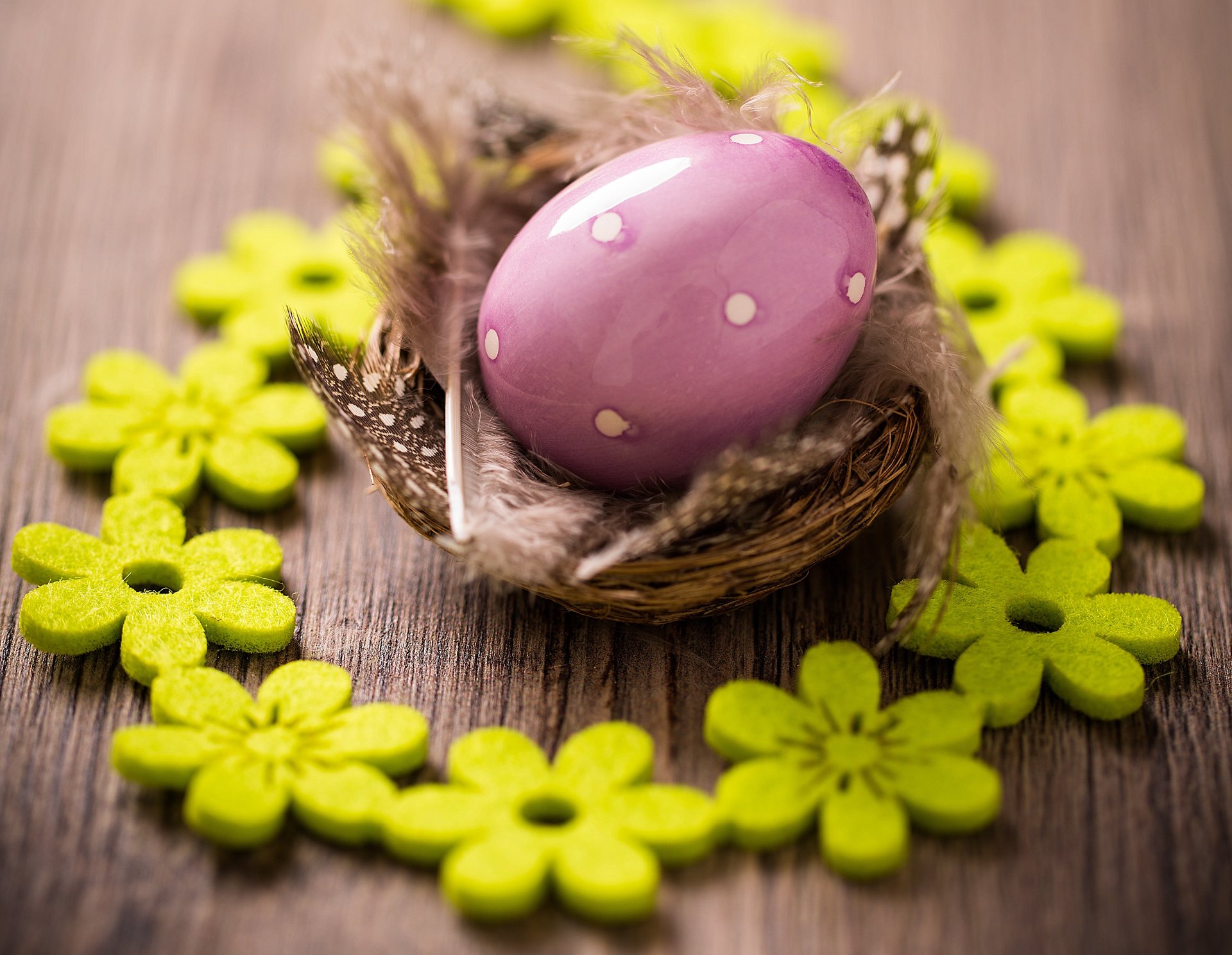 pâques oeufs oeufs de pâques pâques