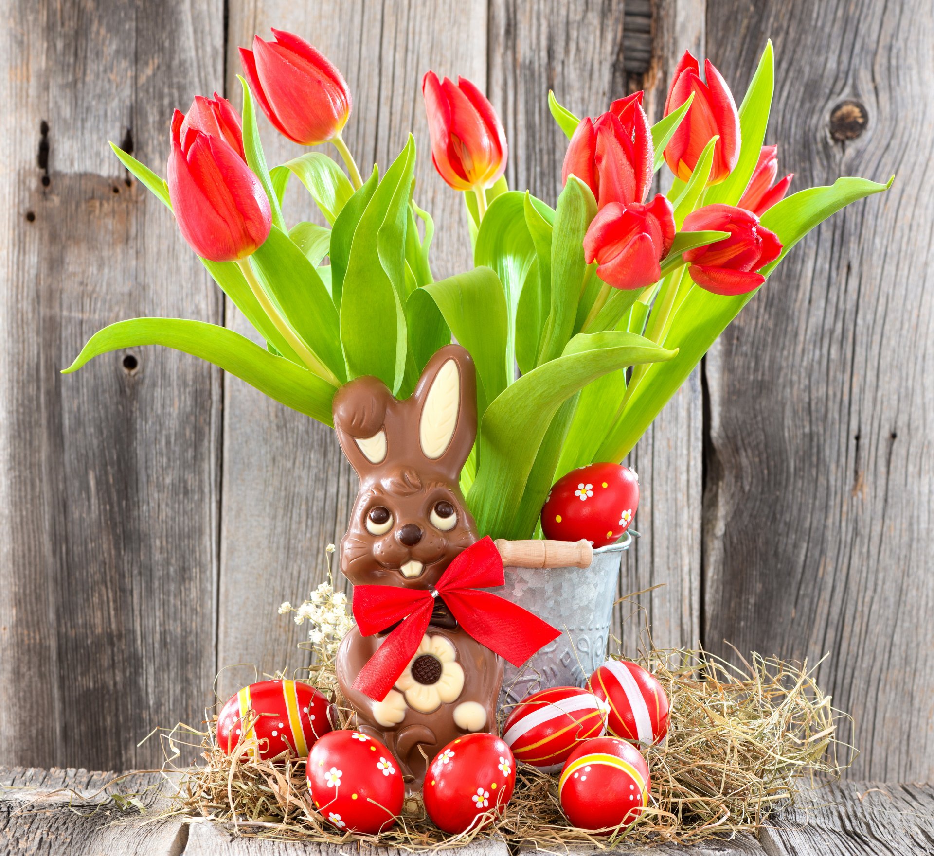 pasqua uova fiori tulipani coniglio rossi