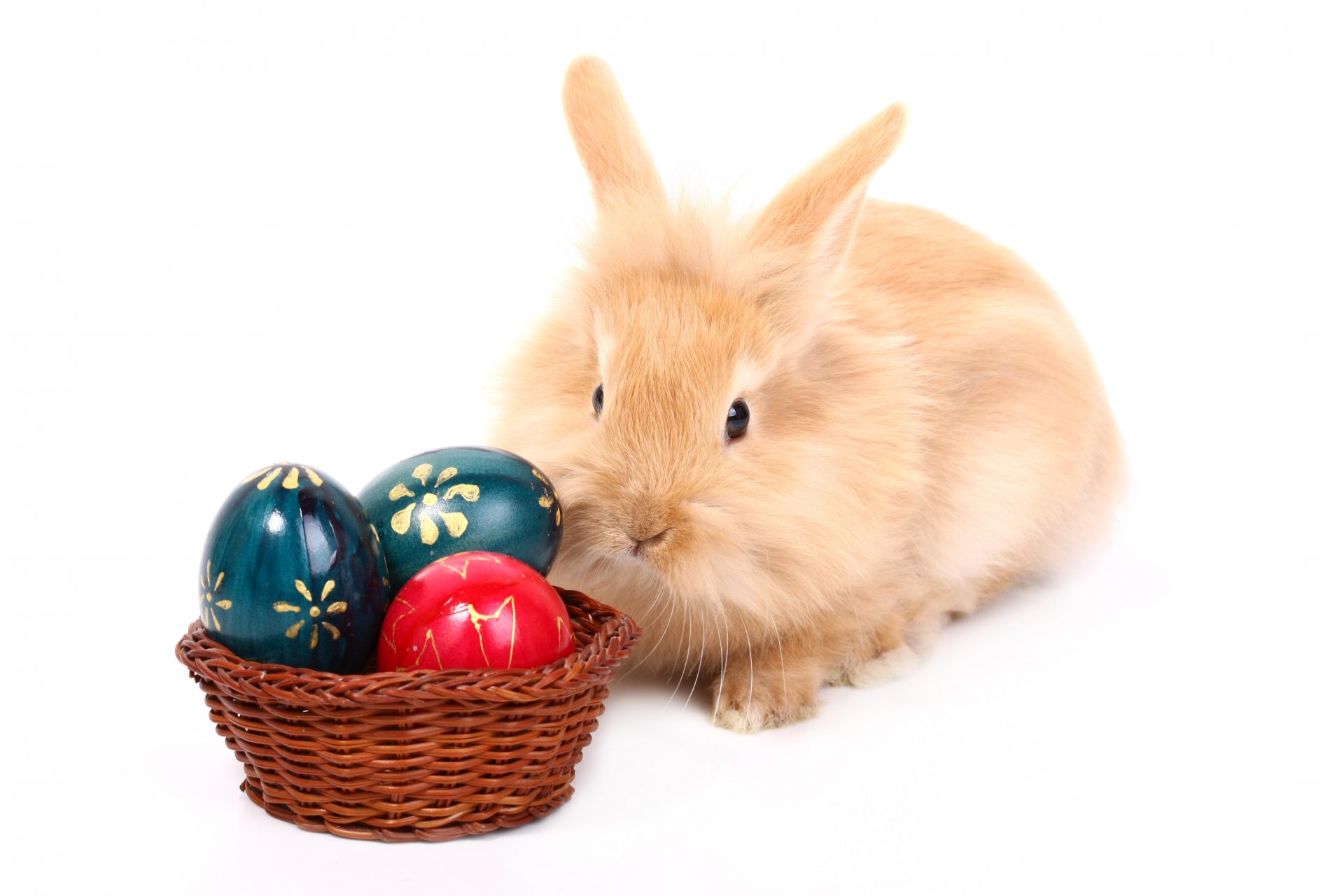 lapin pâques oeuf
