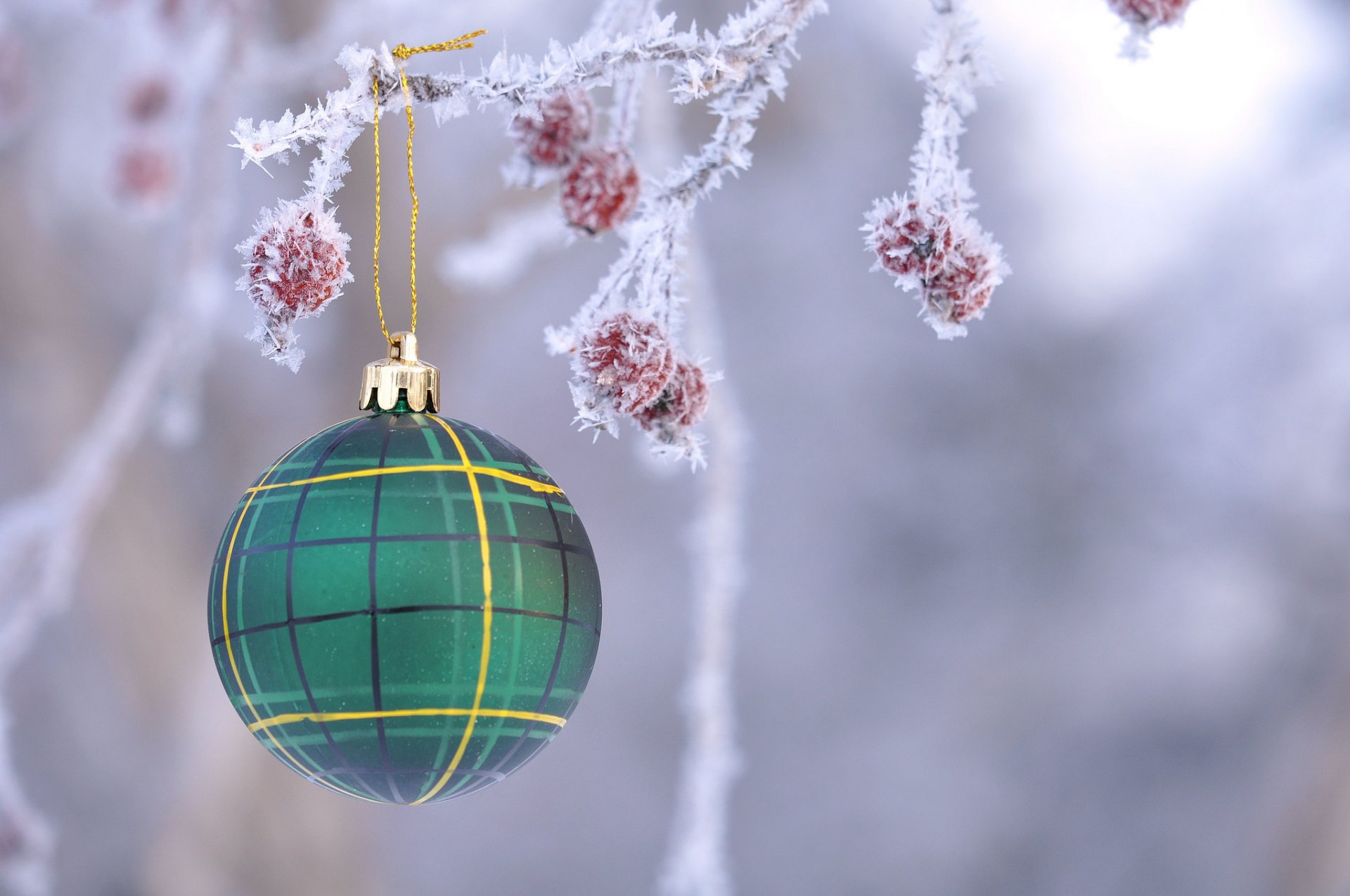 branch fruit frost ball toys decoration christmas new year