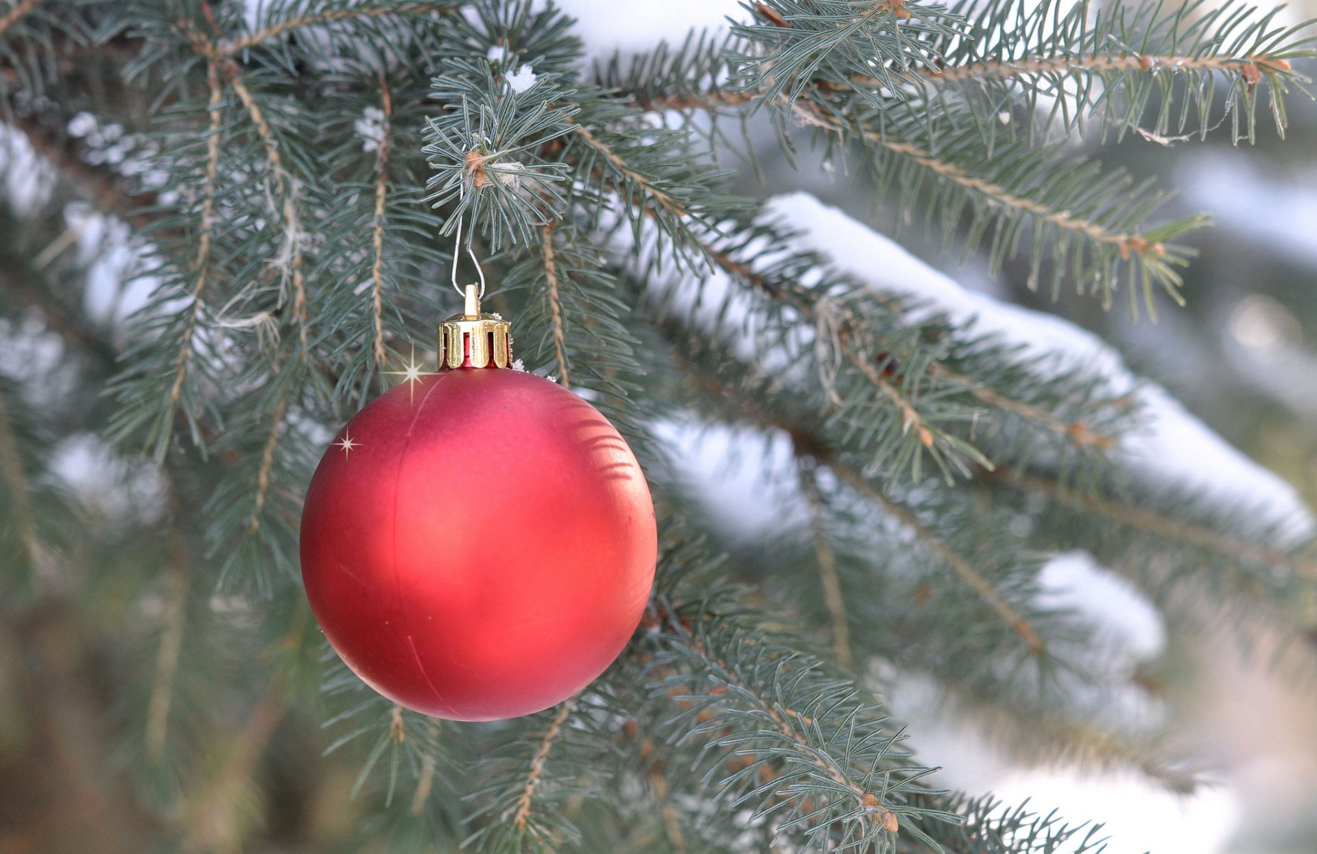 pruce branch ball decoration new year christma