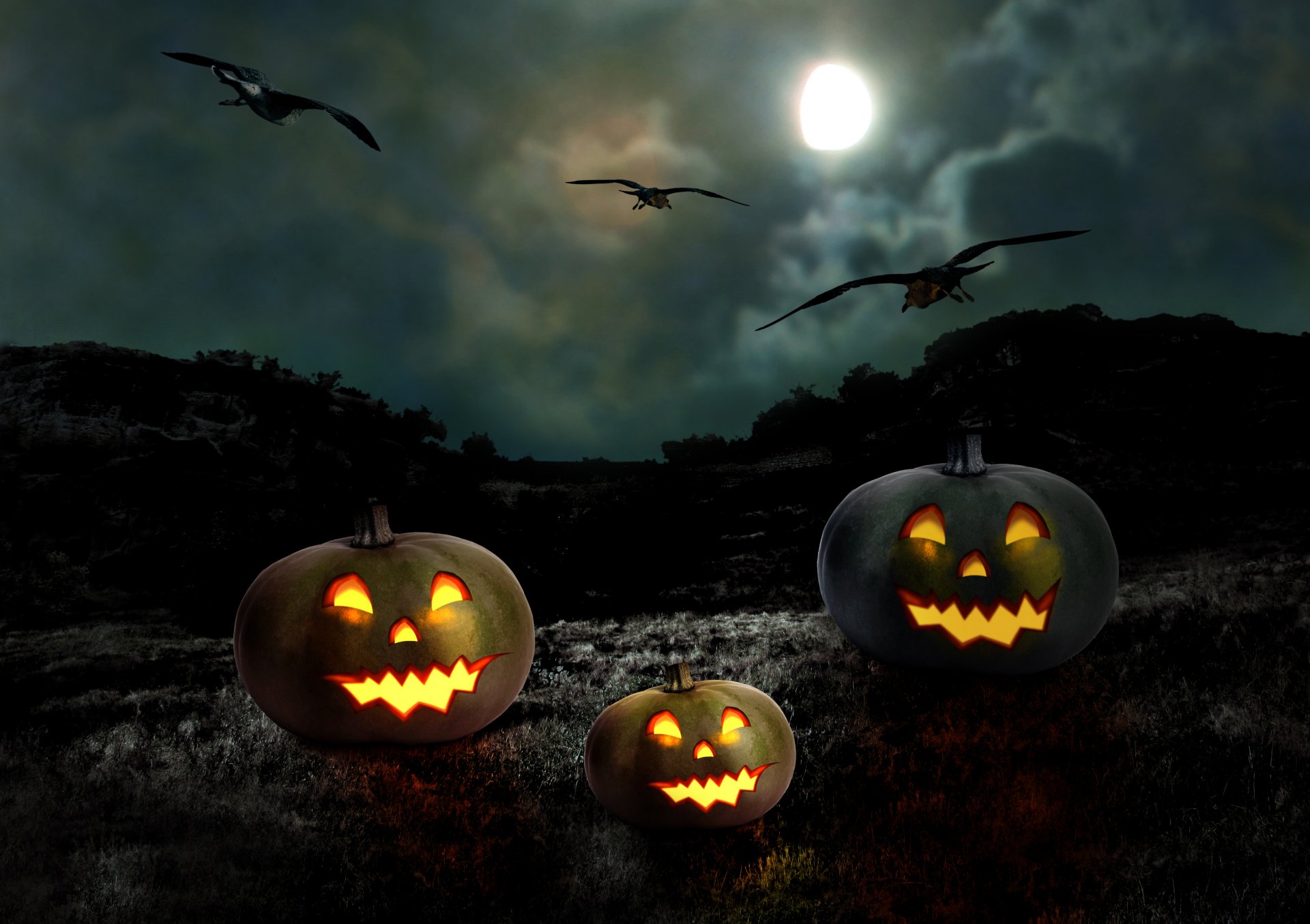 felice halloween vacanza zucca luna notte luna piena zucche