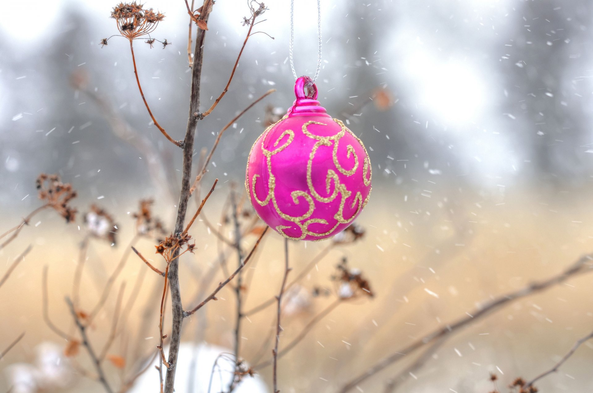 nature arbre boule décoration nouvel an noël