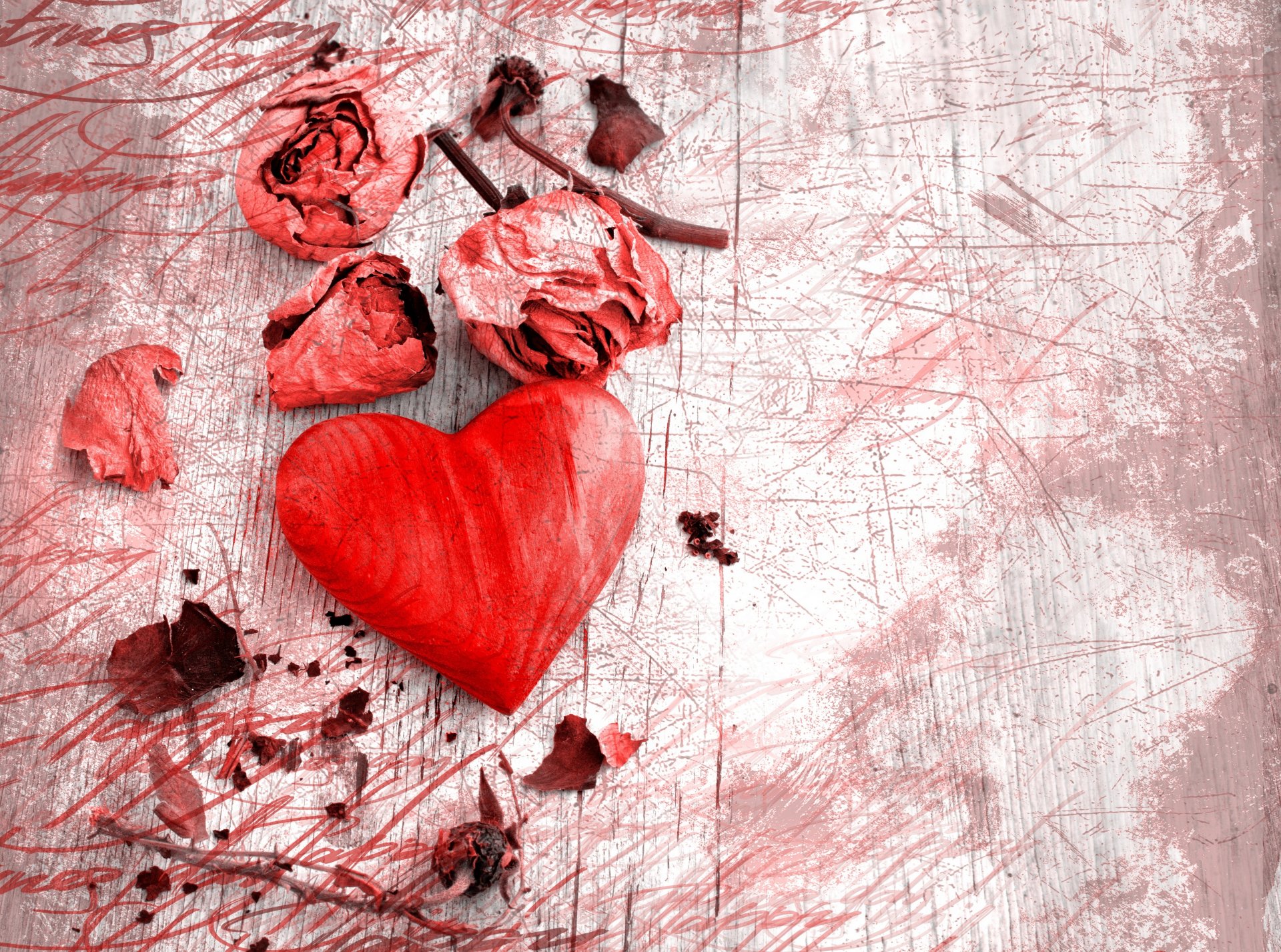 cuore rosa petali