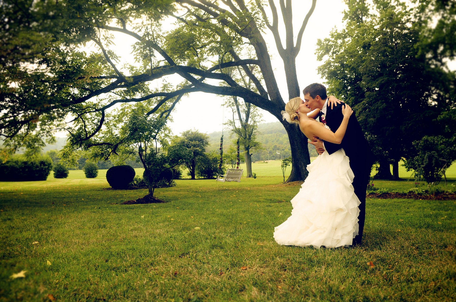 groom bride guy girl suit dress white kiss grass green tree