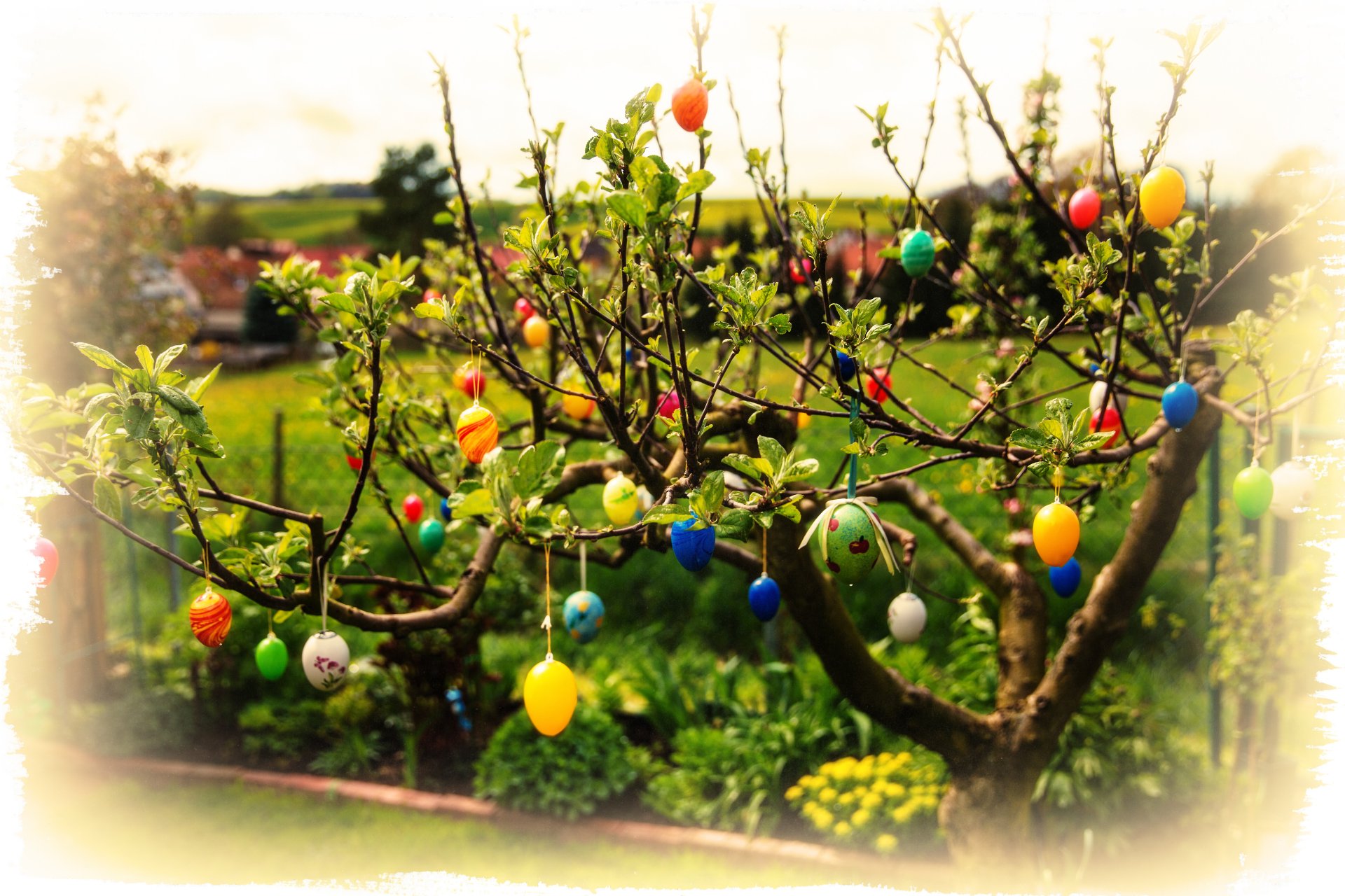 pasqua uova rami foglie