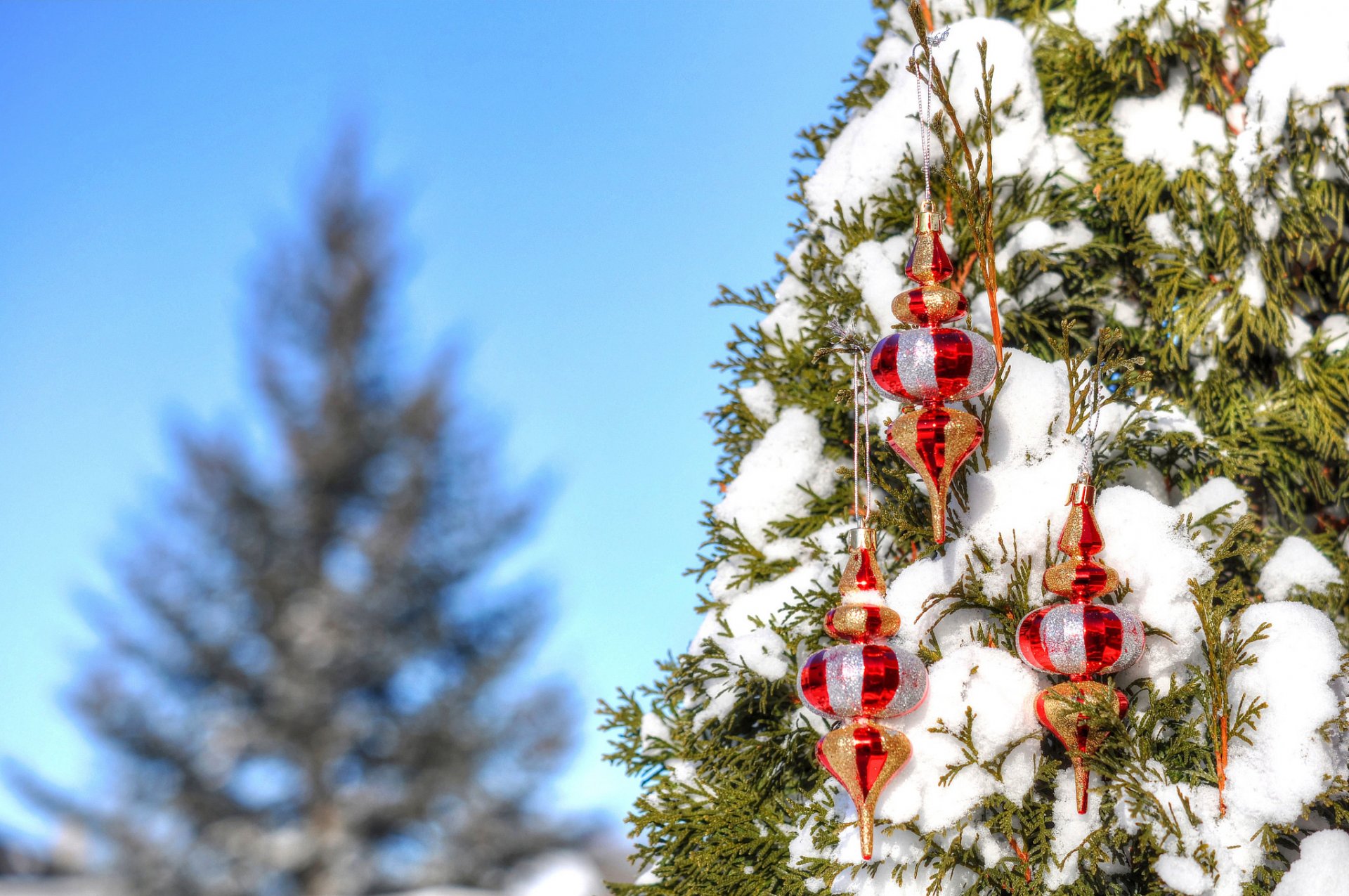 ciel hiver neige arbre décoration jouets nouvel an noël