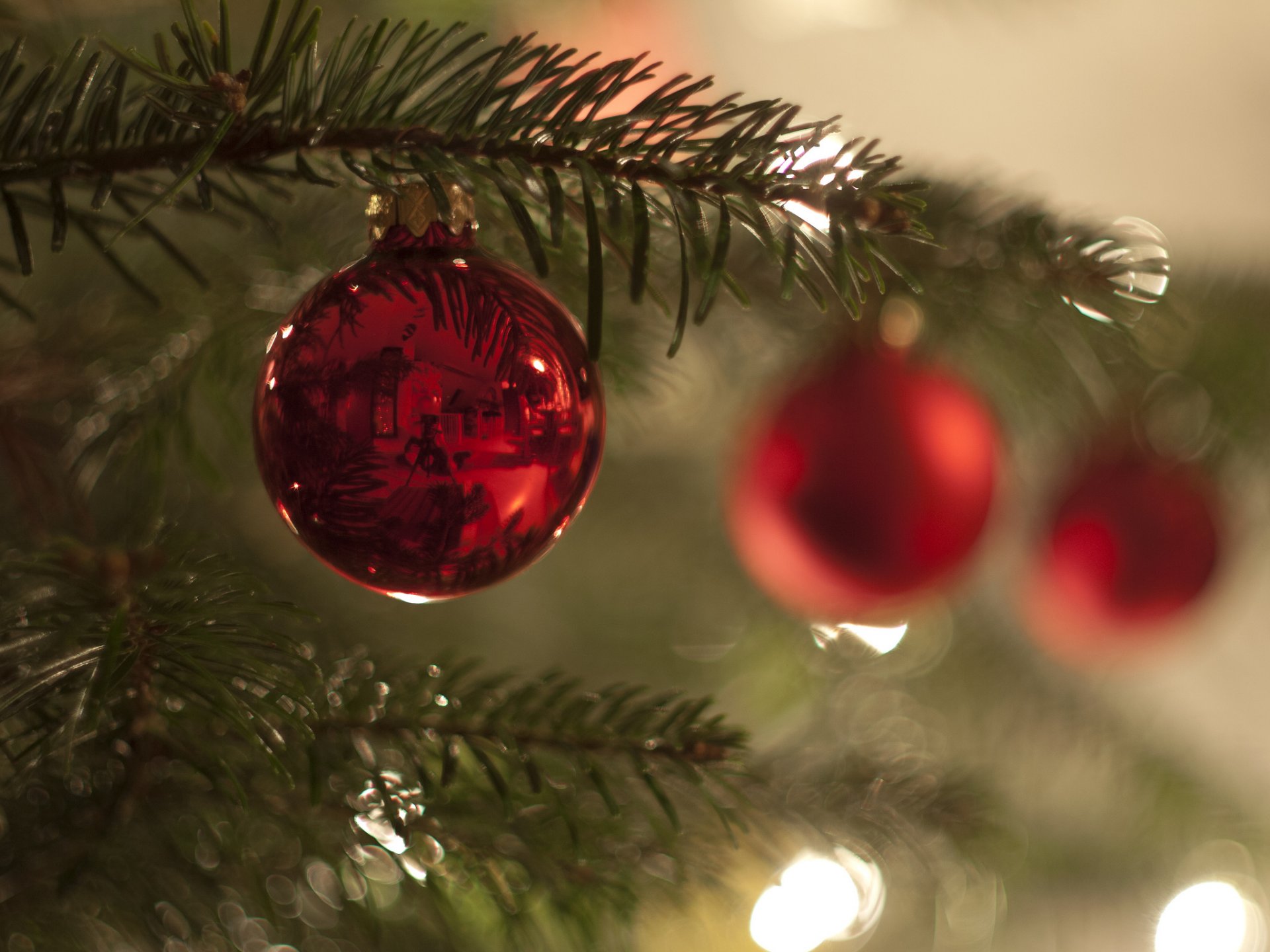 arbre de noël branche boules décoration nouvel an noël