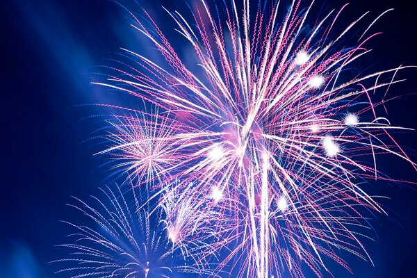There is a beautiful multicolored fireworks in the sky