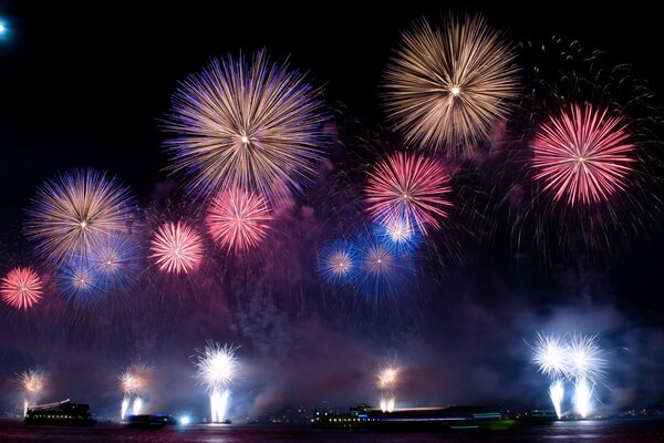 Bright fireworks in the night sky