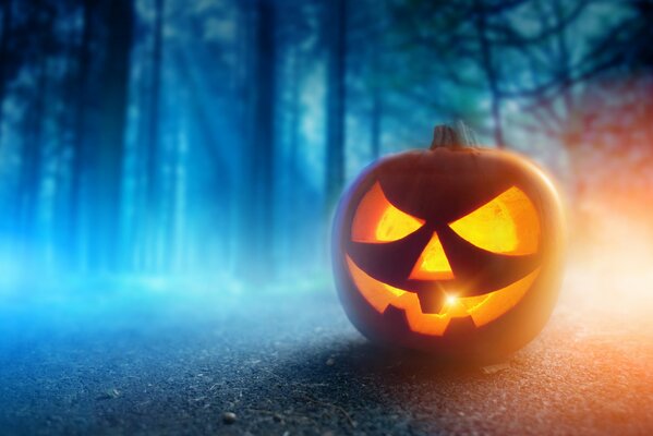 Pumpkin with a sinister face in the forest