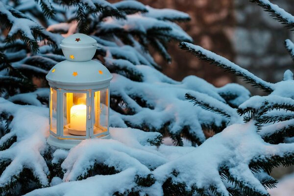 Fiaba nella foresta invernale torcia sull albero di Natale