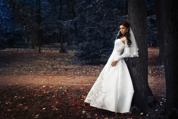 La novia en el parque junto al árbol