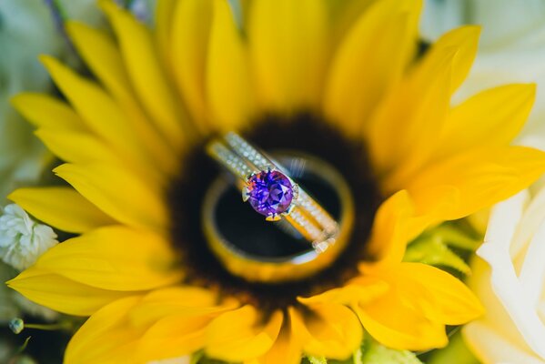 Bella proposta di matrimonio