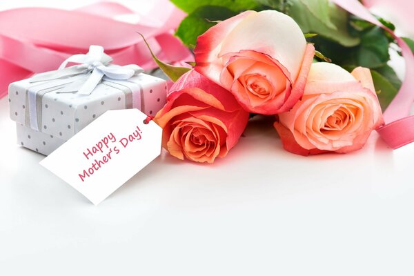 Pink holiday roses on the table