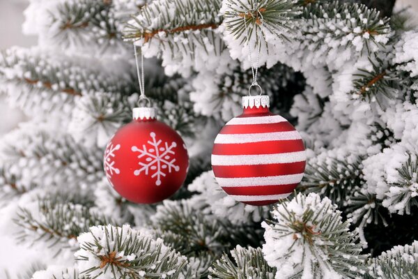 Boules de Noël rouges sur une branche d épinette enneigée