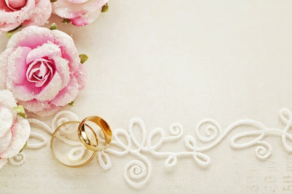 Anillos de boda sobre fondo blanco con rosas Rosadas