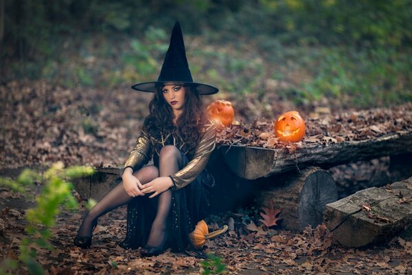 All friends love Halloween and carefully prepare for it