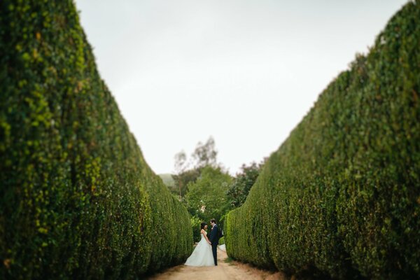 Amantes marido y mujer en el Jardín