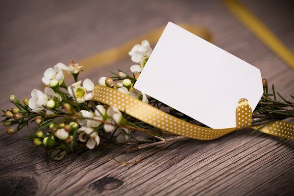 A gift for Easter. White flowers