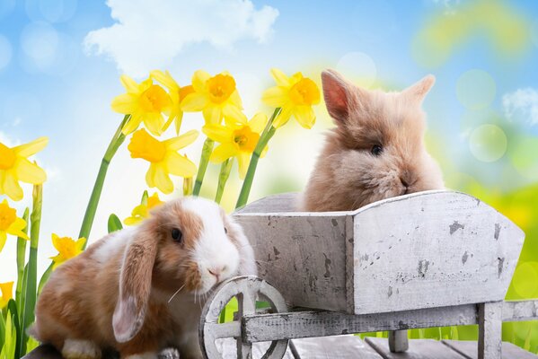 La fiesta de Pascua y sus conejos