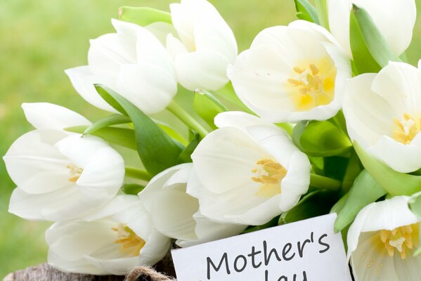 Bouquet of white tulips with a greeting card