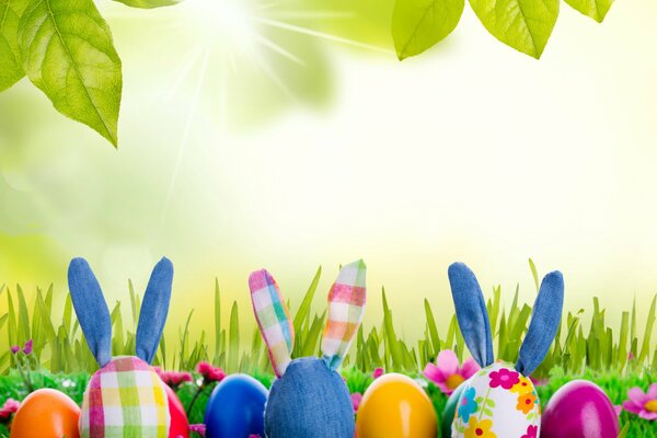 Lapins de Pâques doux se trouvent dans la Prairie