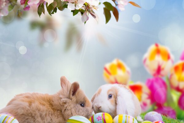 Due coniglietti pasquali con uova di Pasqua