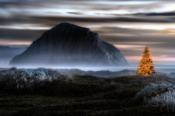 Árbol de Navidad en el fondo de la roca oscura