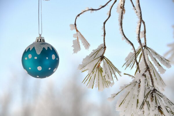 Christmas balloon close-up on a branch