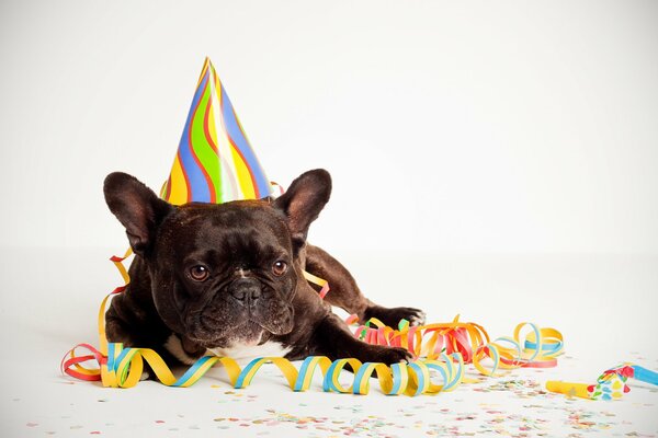 Buon compleanno amico sorridi