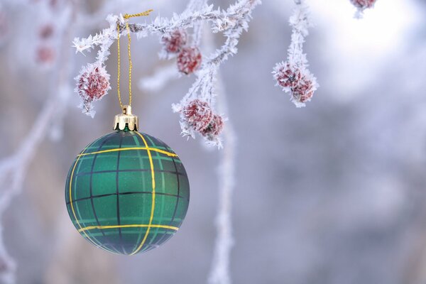 Weihnachtskugel auf einem zarten Zweig
