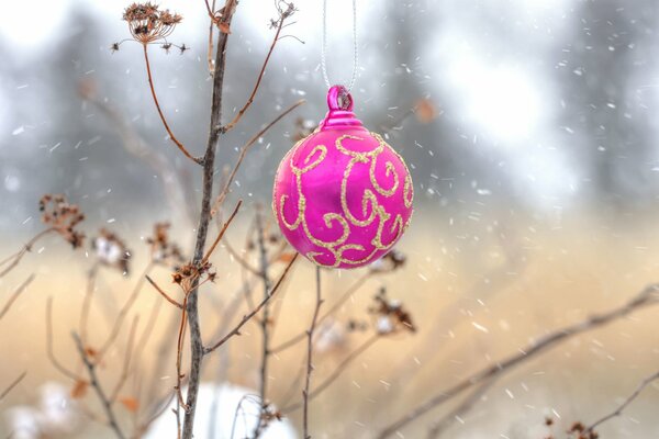 Christmas decoration balloon on a tree