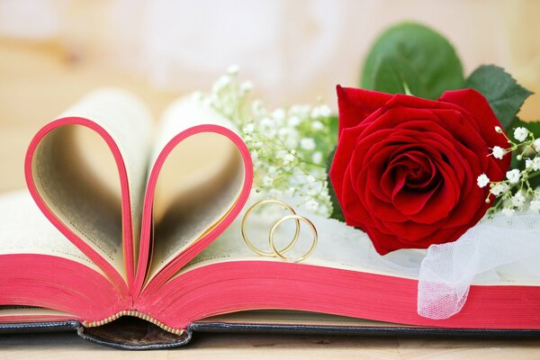 Обручальные кольца лежат на книге рядом с розой