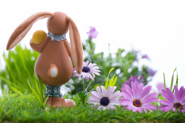 Coniglio pamhal in un prato con fiori