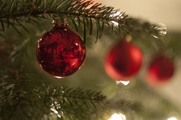 Giocattoli di Natale sull albero di Natale