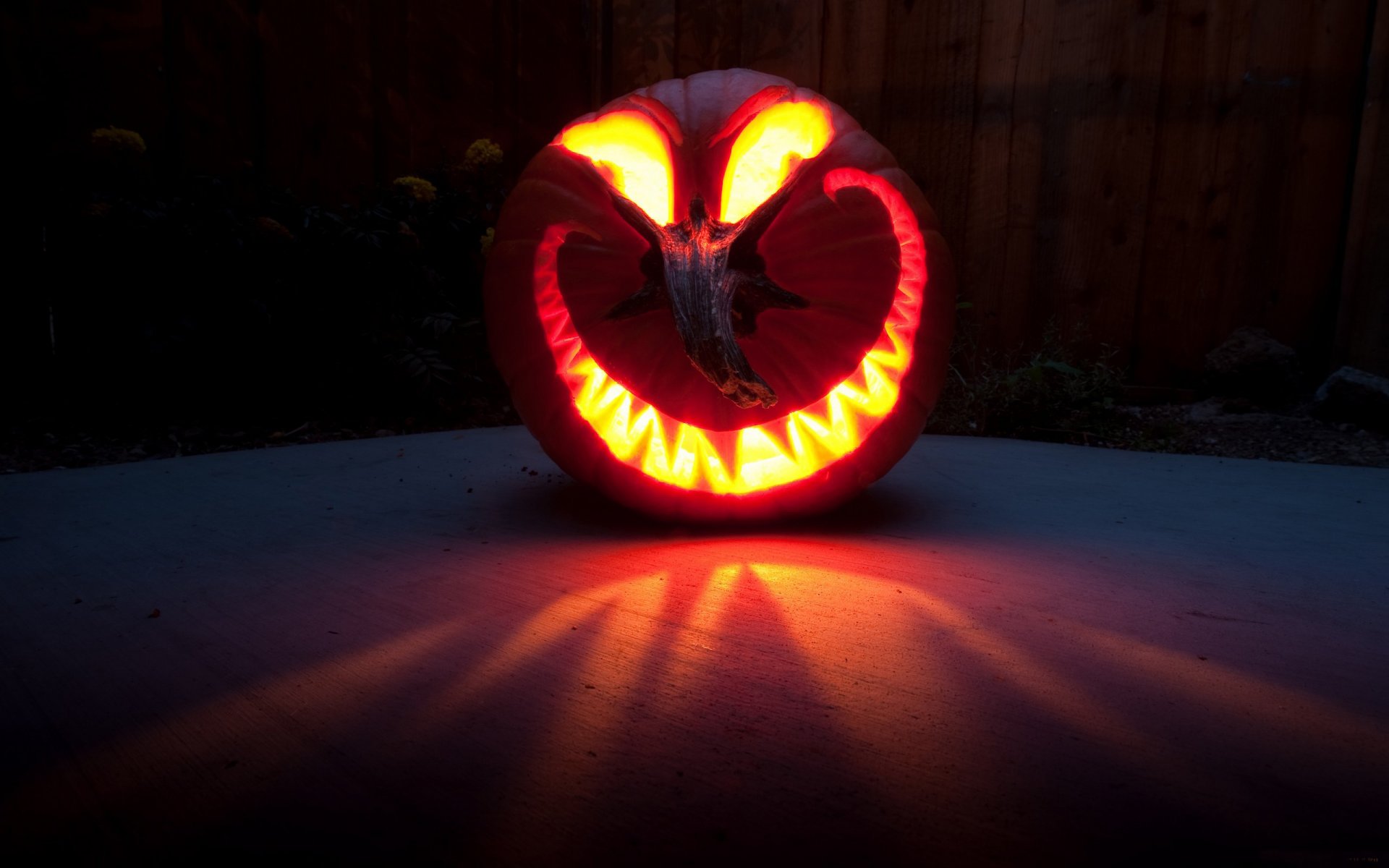 sankt halloween . halloween kürbis gesicht kopf augen lächeln zähne