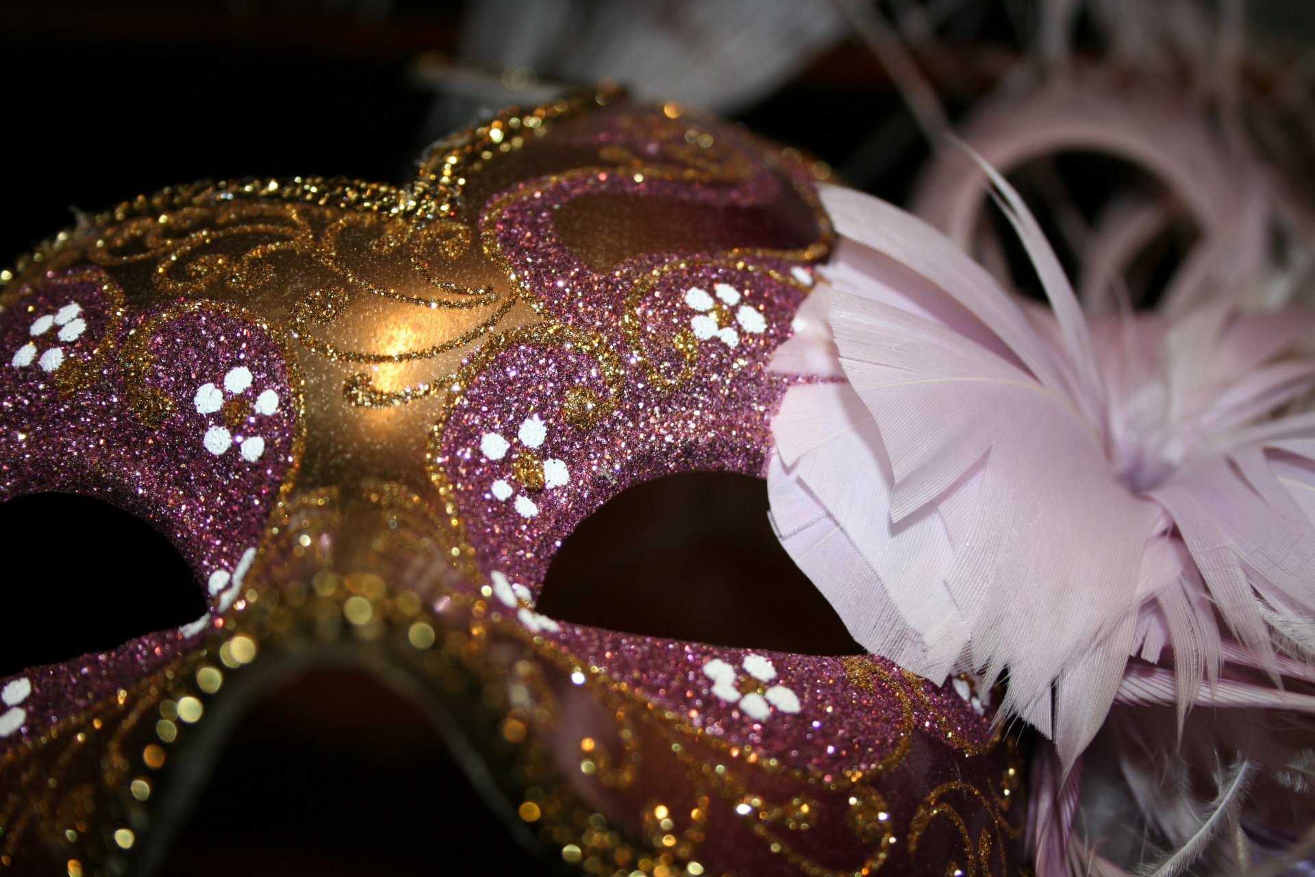 masque gros plan paillettes plume