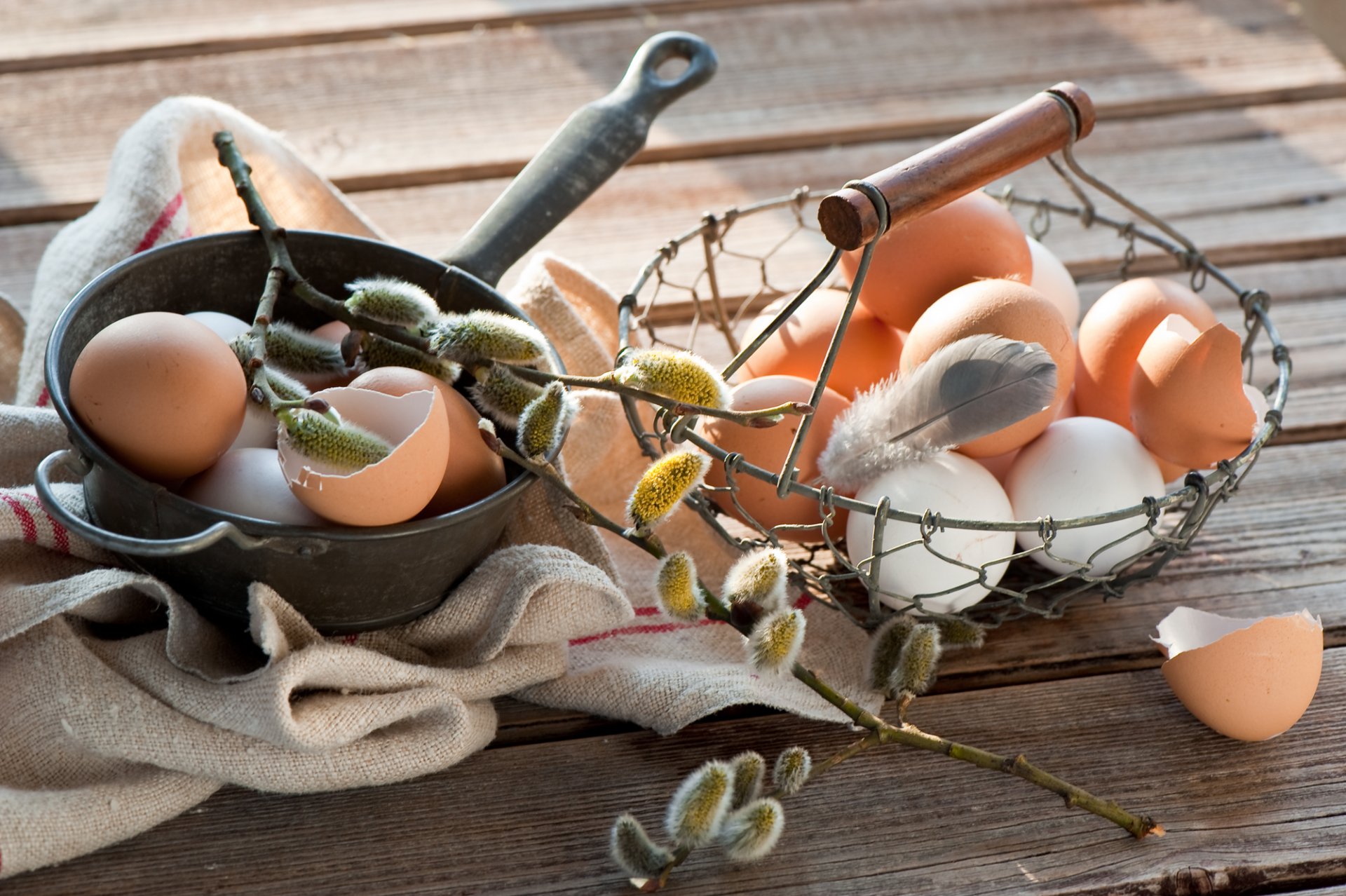 pâques vacances oeufs branche de saule