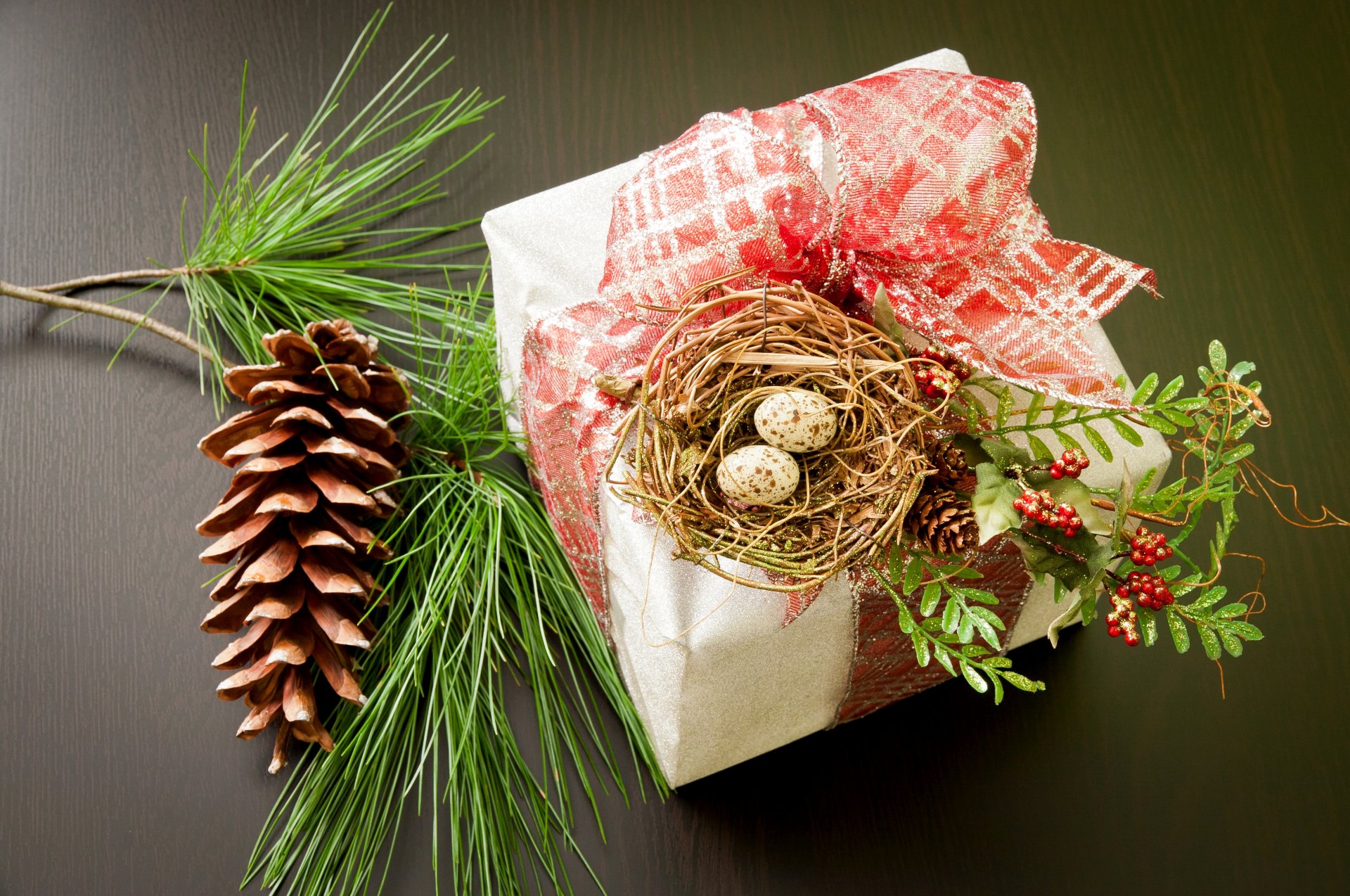 feiertage neujahr weihnachten geschenk box bogen dekor nest eier zweig kiefer tannenzapfen