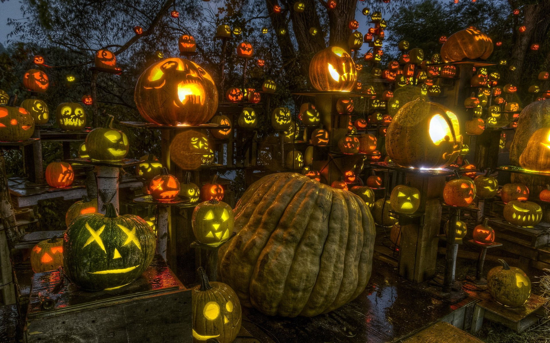 roger williams park halloween passione per pumpkin