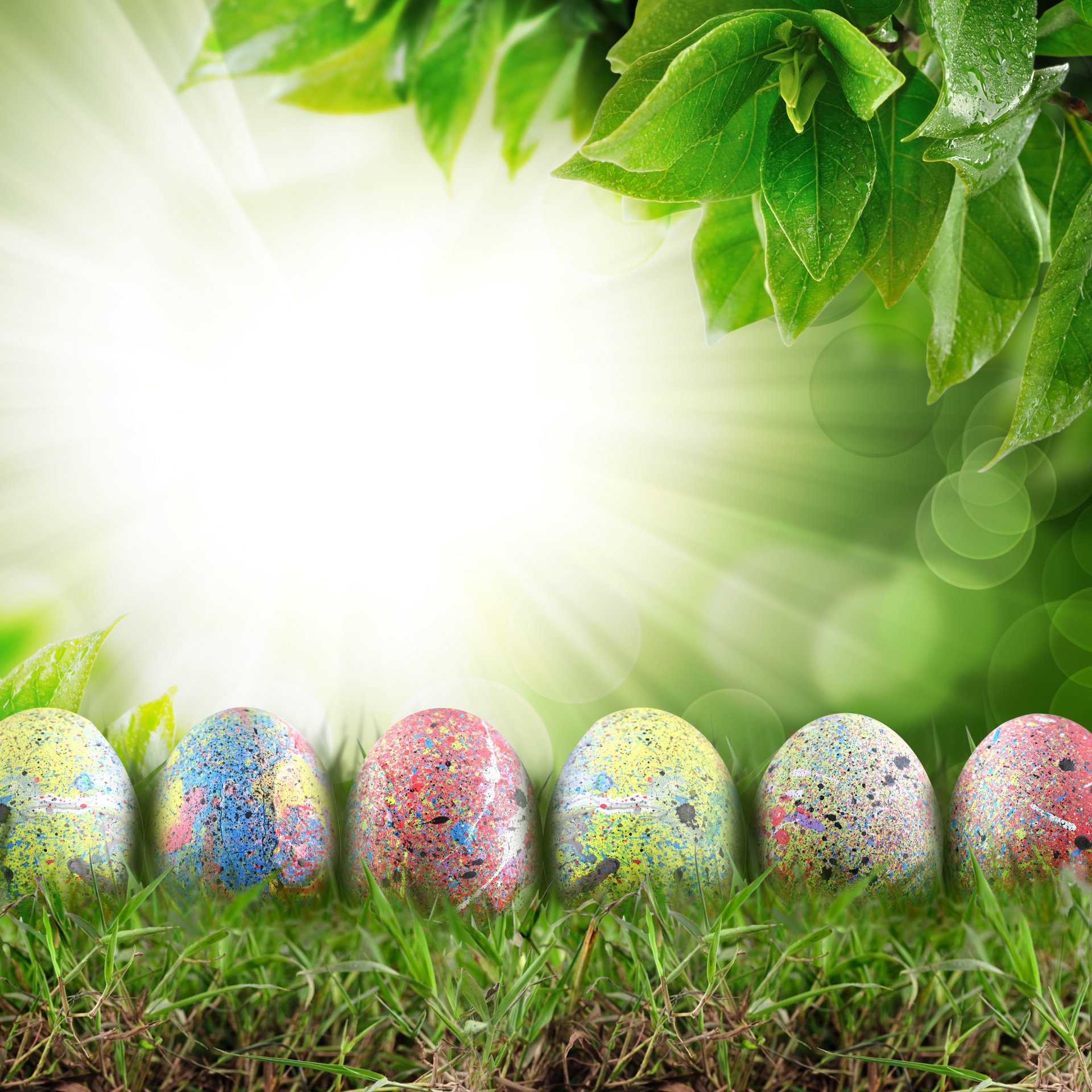 feiertag ostern frühling natur gras blumen eier himmel wolken strahlen blätter