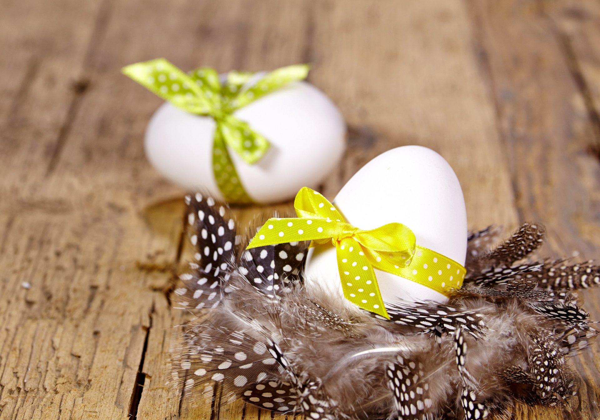 pasqua primavera decorazione piuma arco albero uova primavera salice pasqua piume