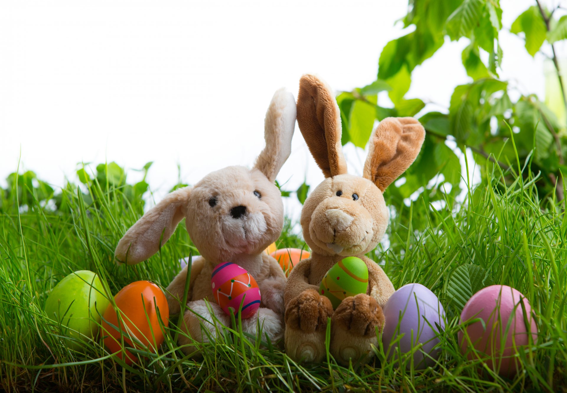 pascua huevos huevos de pascua pascua