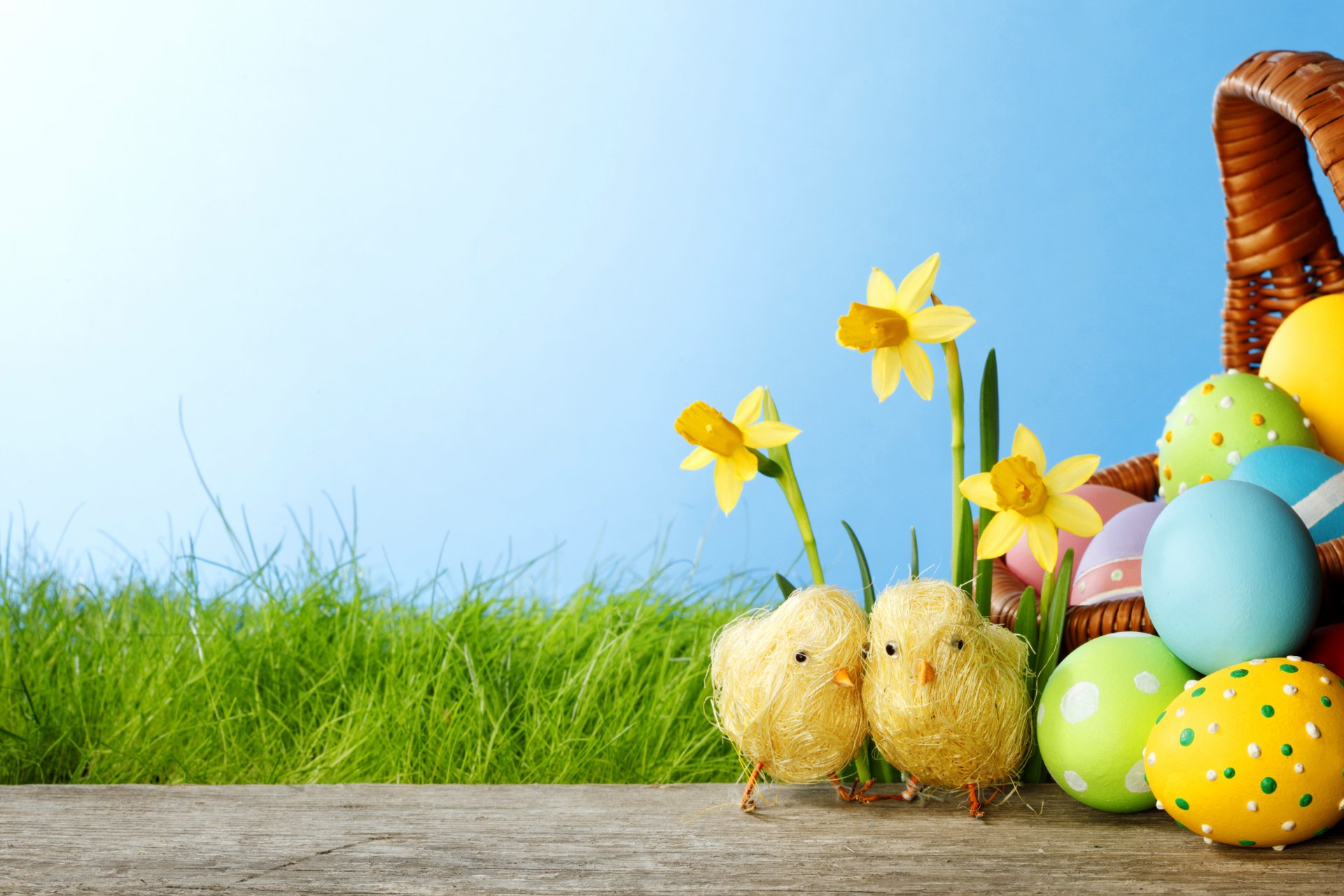 pasqua primavera fiori uova colorato narcisi erba springer primavera tinti polli