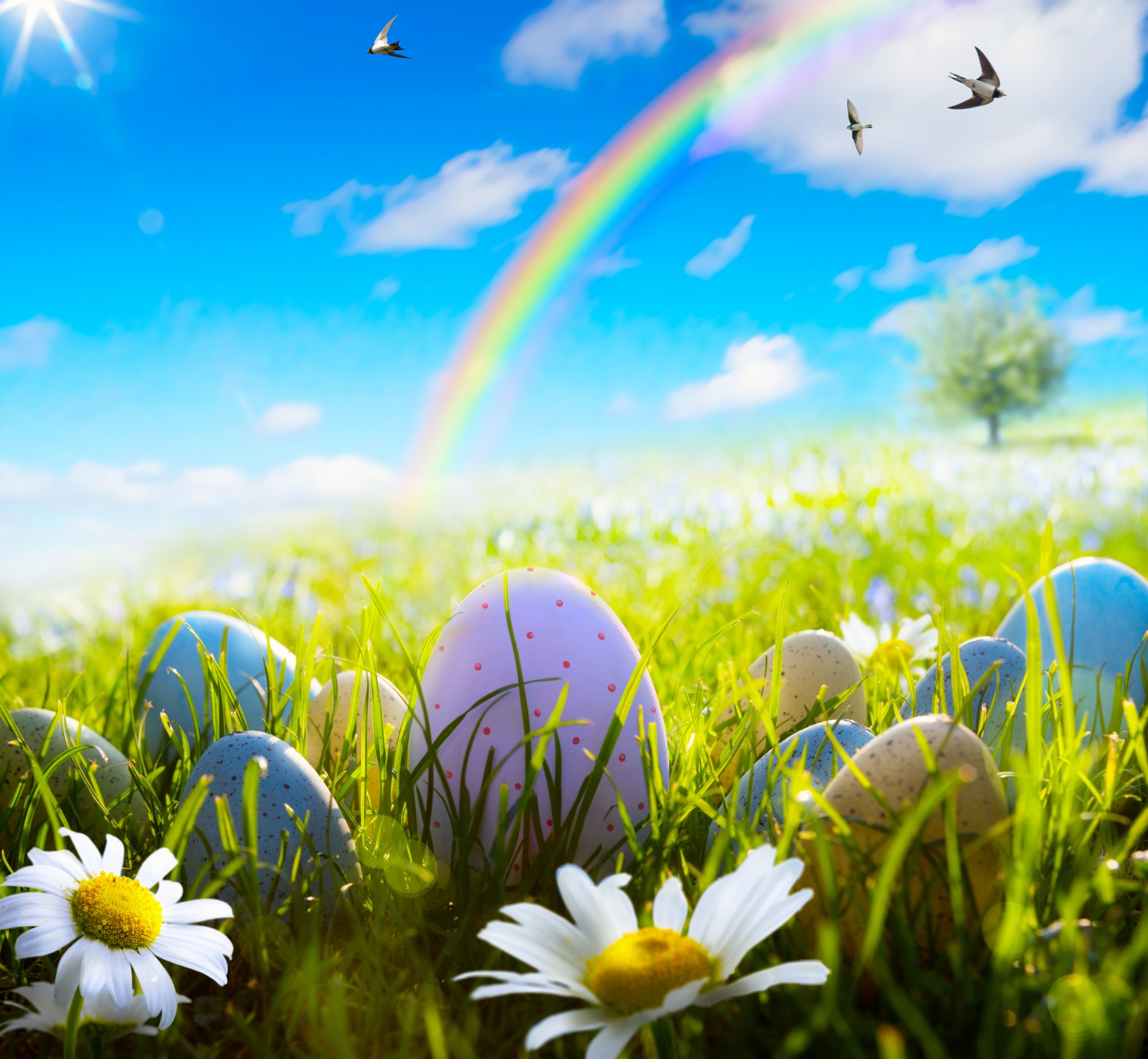 easter spring sun meadow grass flowers eggs daisies chamomile spring